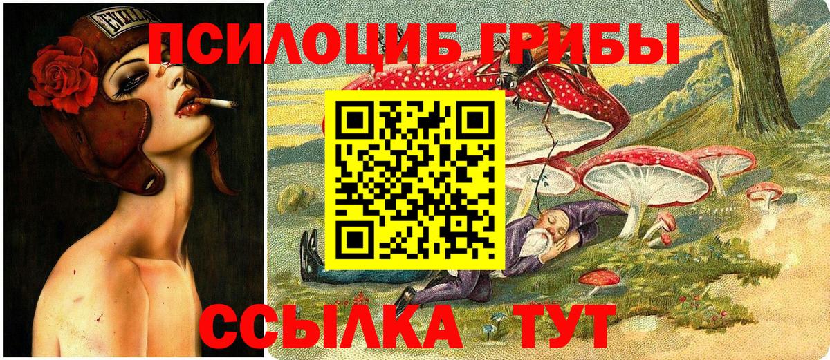 Галлюциногенные грибы прущие грибы Альметьевск