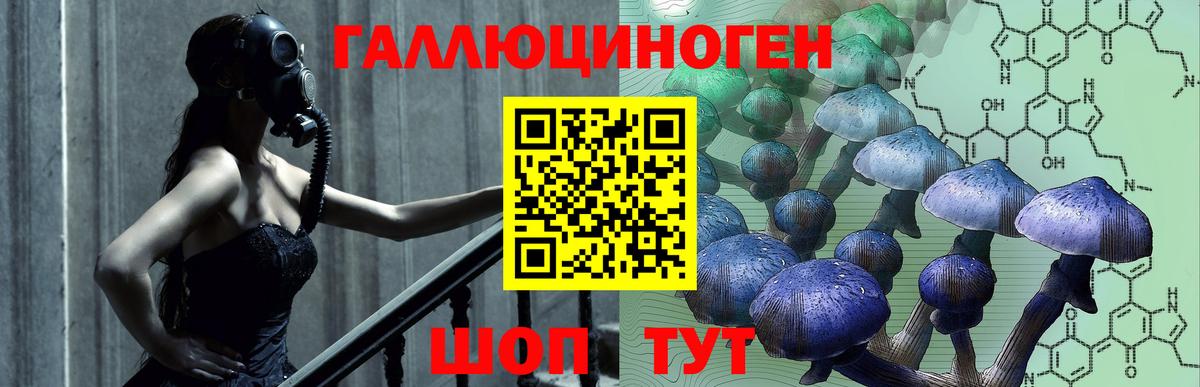 Псилоцибиновые грибы Cubensis  Вход с VPN  Альметьевск 